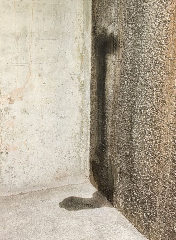 Foundation Leak Repair in Fredericksburg, VA