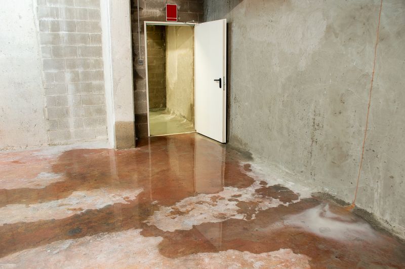 Leaking Basement Repair in Greenville, SC