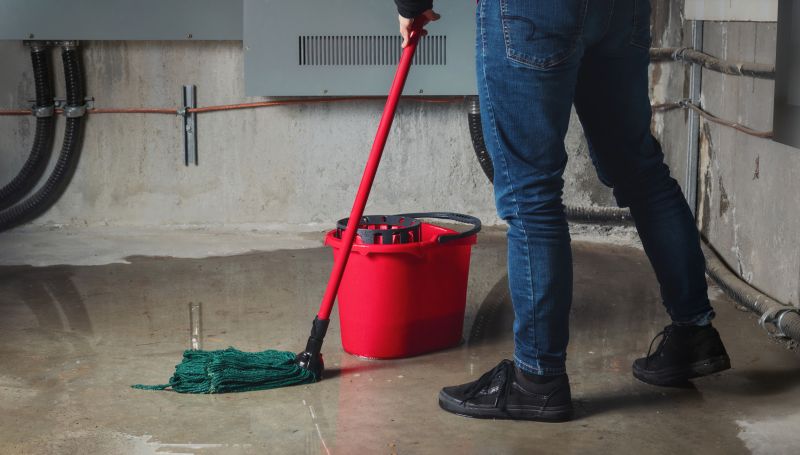 Wet Basement Solutions in Tampa, FL